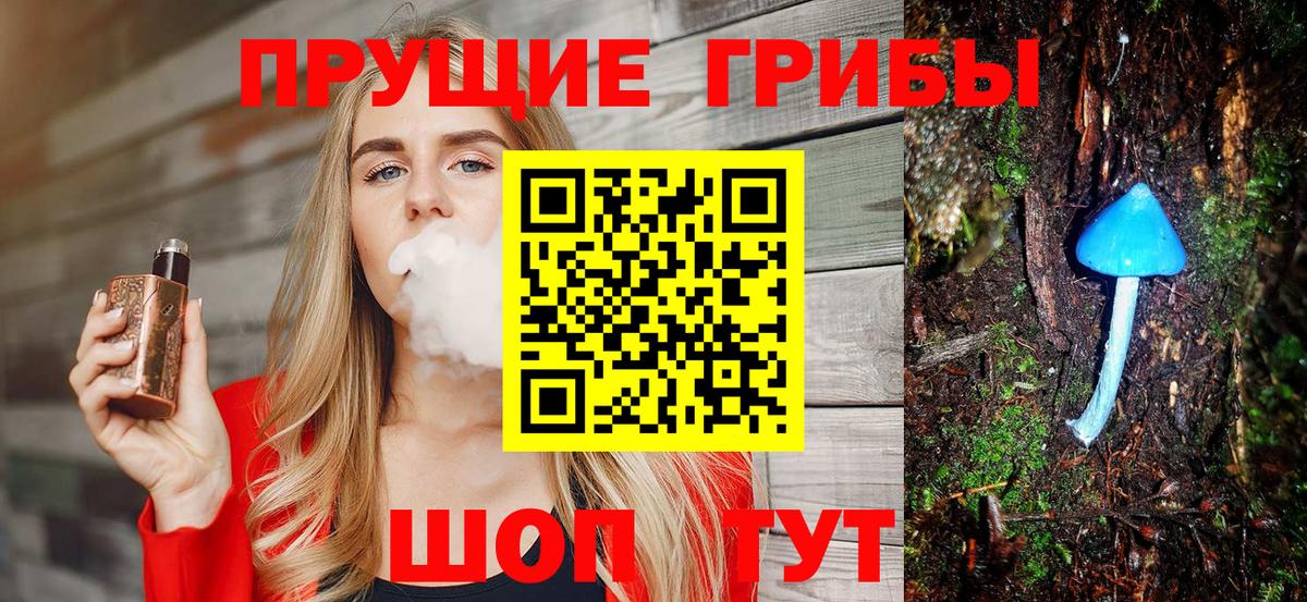 Галлюциногенные грибы Psilocybine cubensis  Вход с VPN  Полевской 